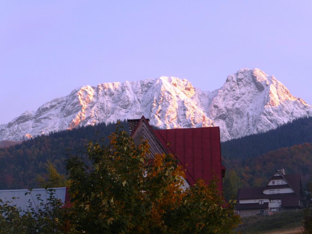 Willa Limba Kościelisko Exterior foto